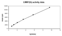 Eurofins DiscoverX LIM Kinase 1 Protein, Active 10 &mu;g | Buy Online | Eurofins DiscoverX | Fisher Scientific
